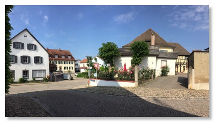 IMG_0080